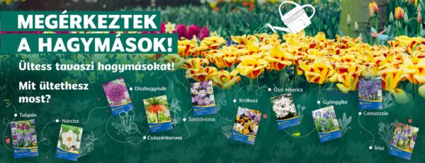 virághagyma banner