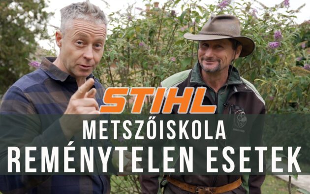 rosszul metszett gyümölcsfák