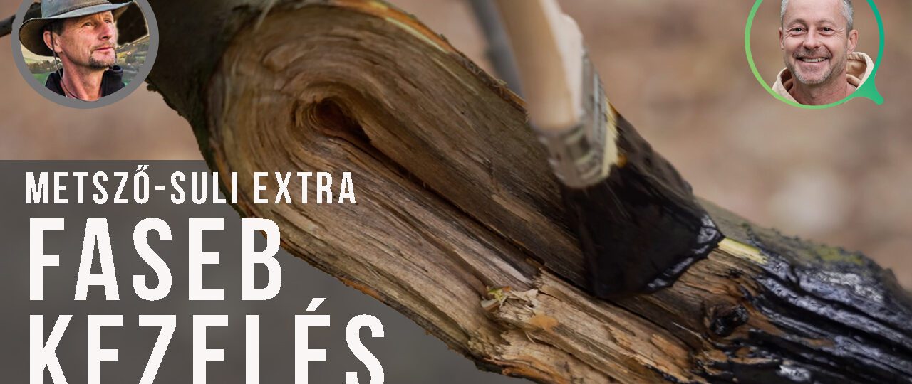 facebkezelés Kosztka Errnővel