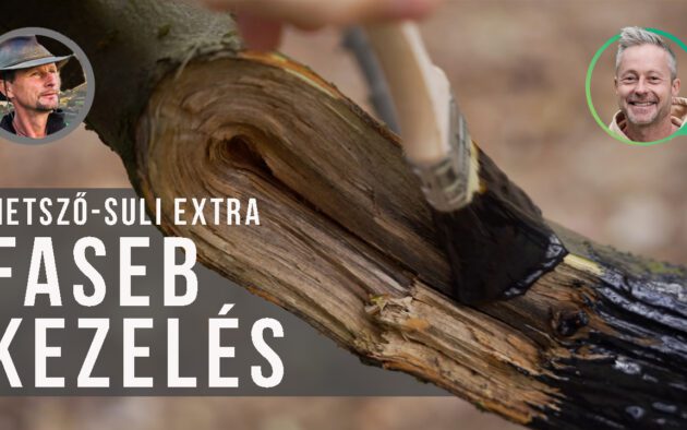 facebkezelés Kosztka Errnővel