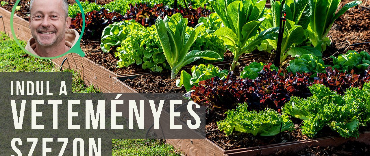 magvetés kora tavasszal