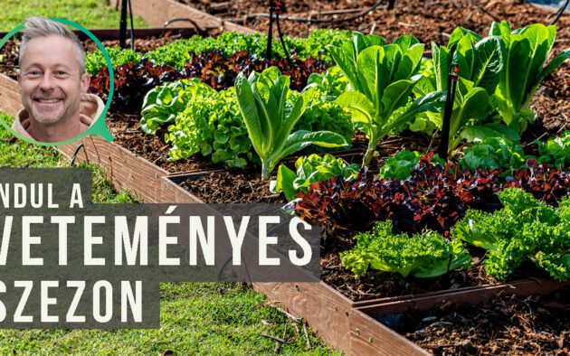 magvetés kora tavasszal