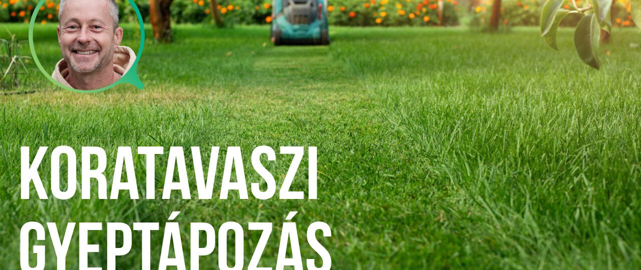 koratavszi gyeptáplálás