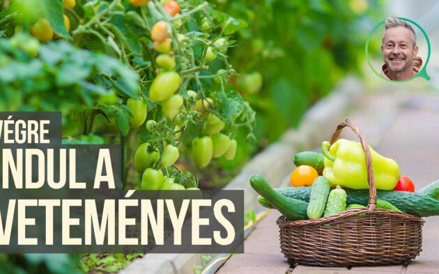 veteményes kalandok szomoru mikivel