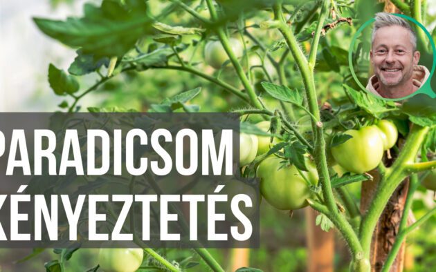 júliusi teendők