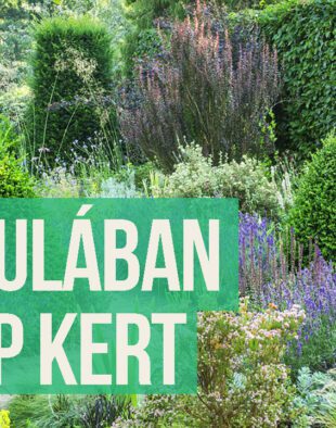 kerti mustra a szárazkertben