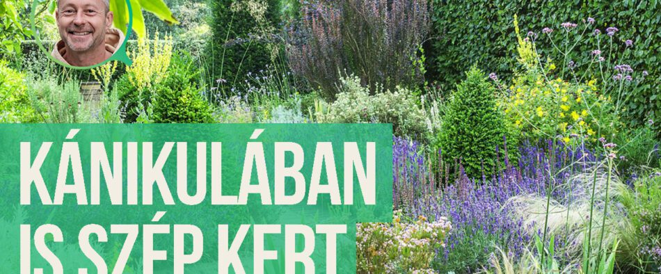 kerti mustra a szárazkertben