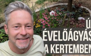 évelőágyás a terasz mellett