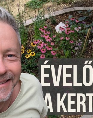 évelőágyás a terasz mellett