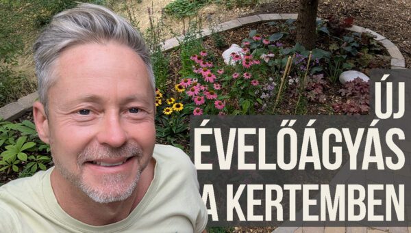évelőágyás a terasz mellett