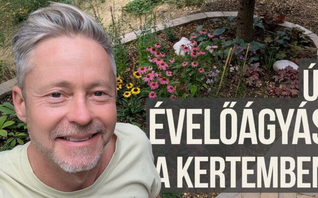 évelőágyás a terasz mellett