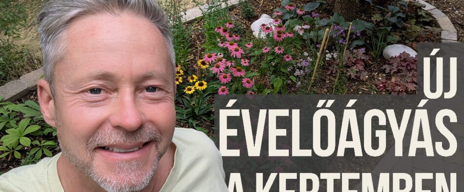 évelőágyás a terasz mellett