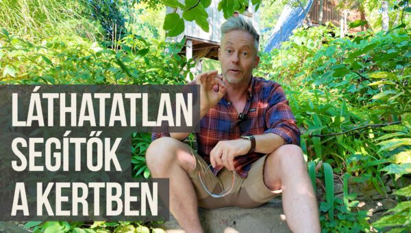 mikrobiológiai készítmény