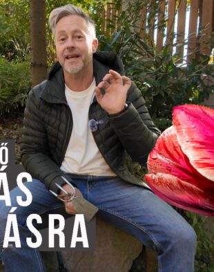 tavaszi hagymások ültetése