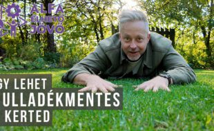 hulladékmentes kert