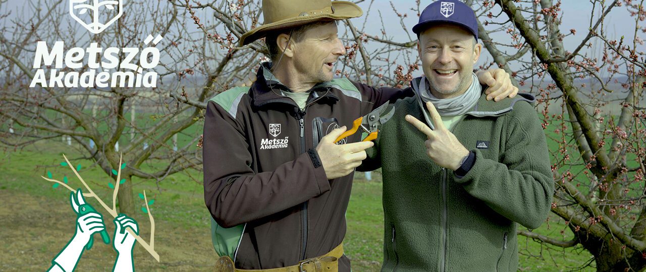 metsző akadémia