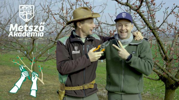 metsző akadémia