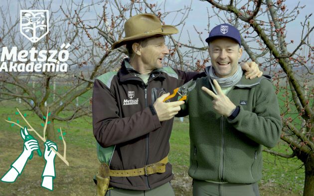 metsző akadémia