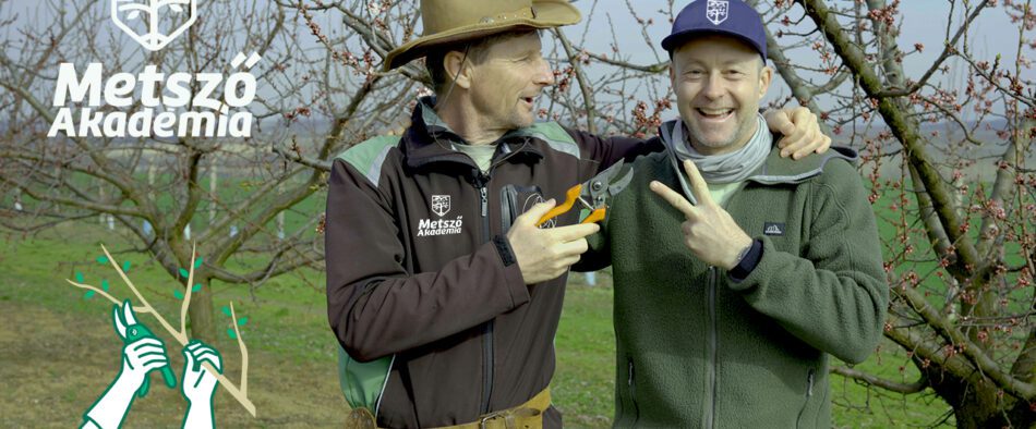 metsző akadémia