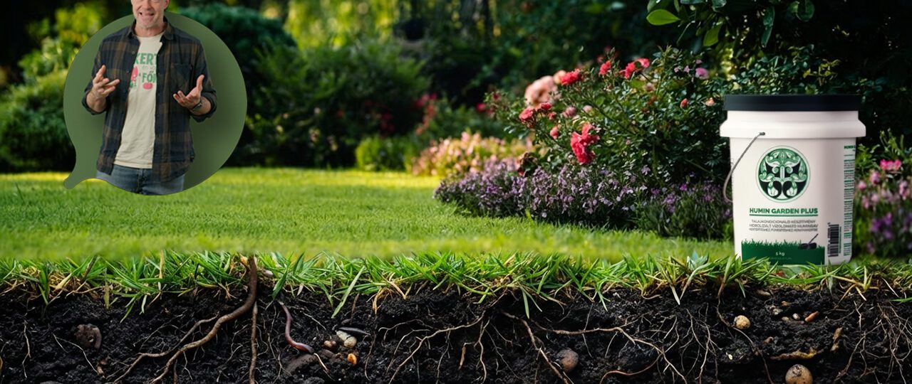 gyep javítás huminsavval