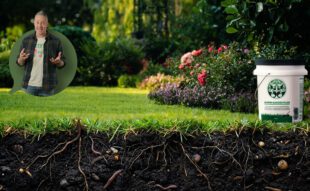 gyep javítás huminsavval