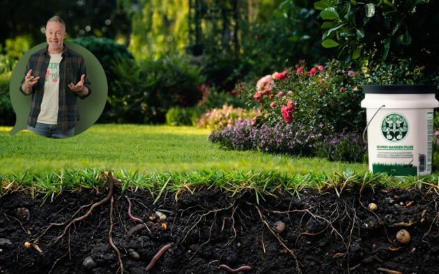 gyep javítás huminsavval