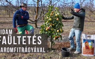 faültetés baromfitrágyával