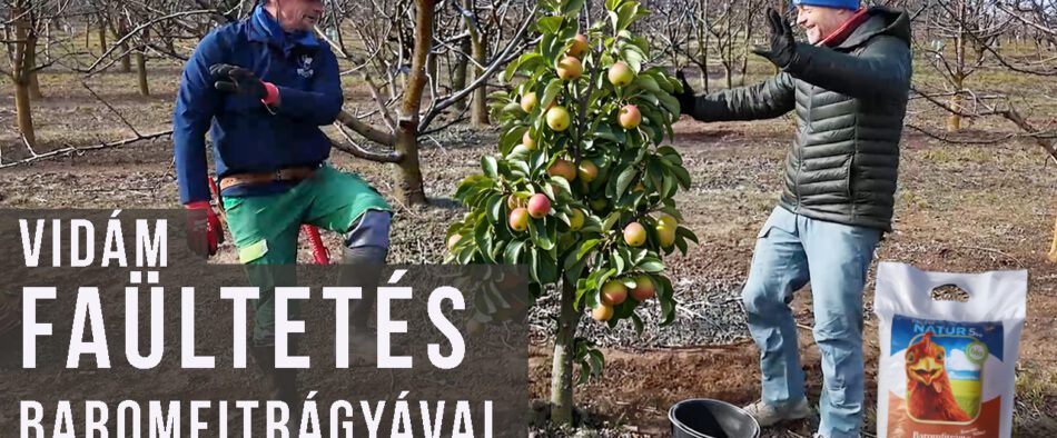 faültetés baromfitrágyával