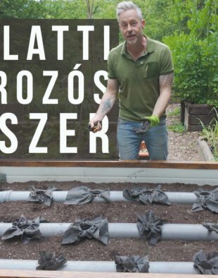 víztározós magaságyás