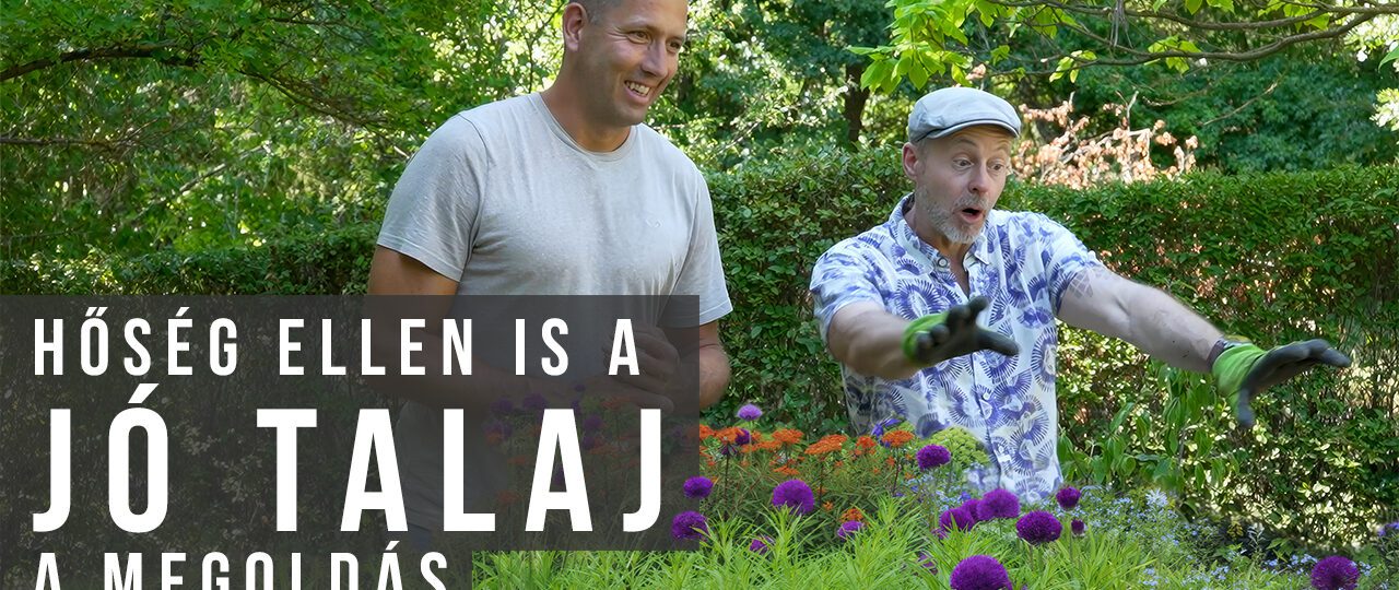 hőség ellen jó talaj