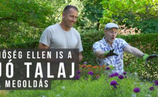 hőség ellen jó talaj