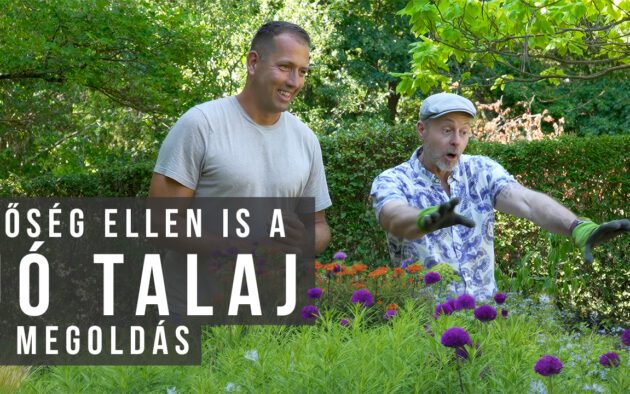 hőség ellen jó talaj