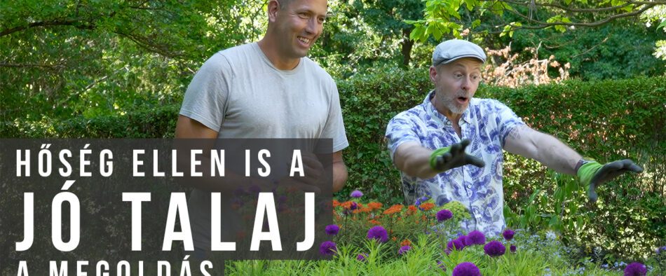 hőség ellen jó talaj