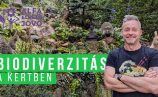 biodiverzitás a kertben