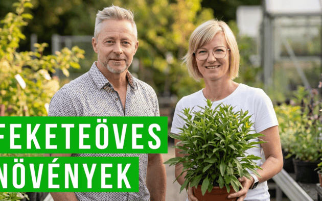 feketeöves növények a kertben