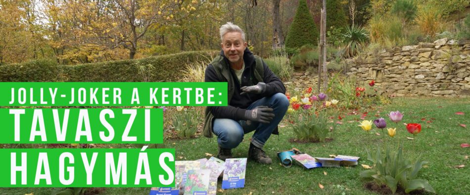 tavaszi hagymások ültetése ősszel