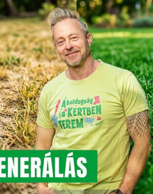 őszi gyepfelújítás