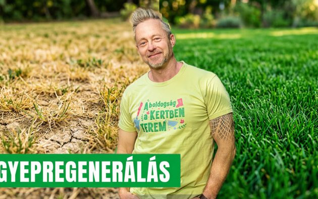 őszi gyepfelújítás