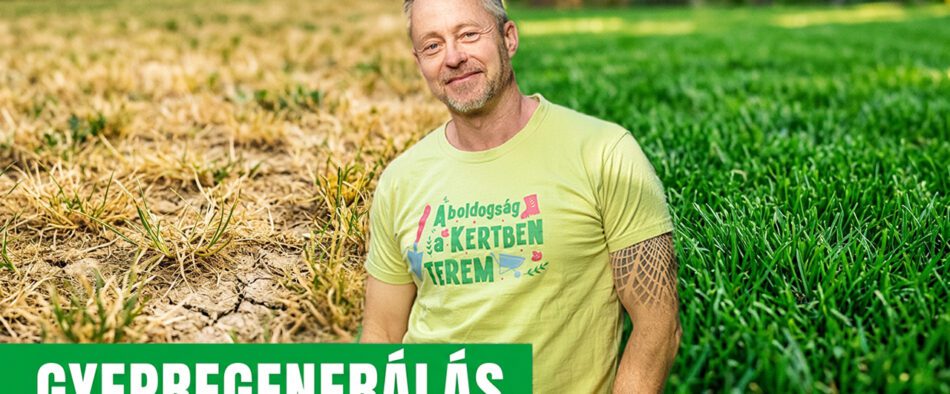 őszi gyepfelújítás